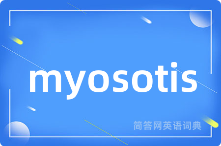 myosotis