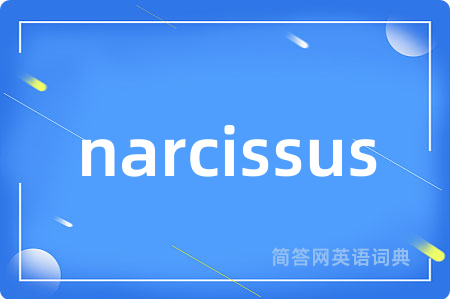 narcissus