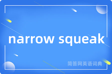 narrow squeak