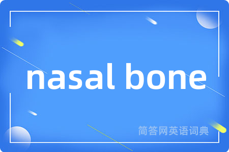 nasal bone