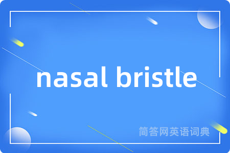 nasal bristle
