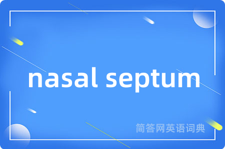 nasal septum是什么意思,nasal septum的中文翻译 nasal septum