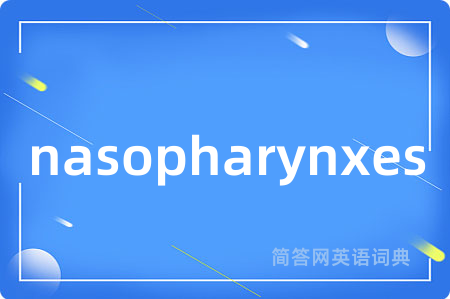 nasopharynxes