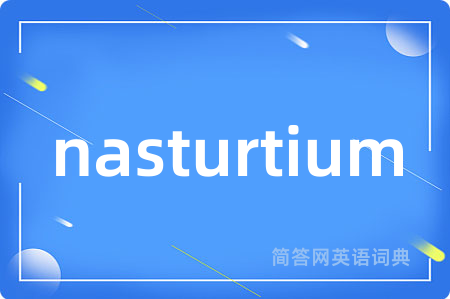 nasturtium