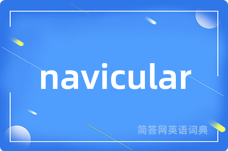 navicular