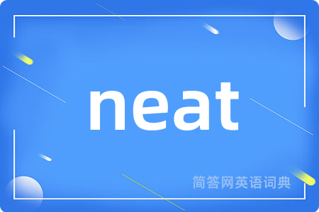 neat是什么意思,neat的中文翻译 neat