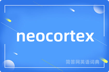 neocortex
