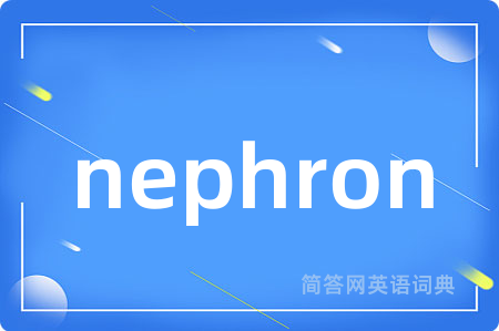 nephron