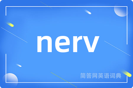nerv