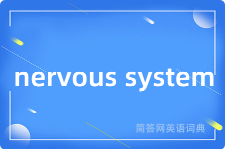 nervous system是什么意思,nervous system的中文翻译 nervous system
