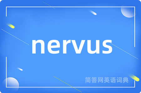 nervus