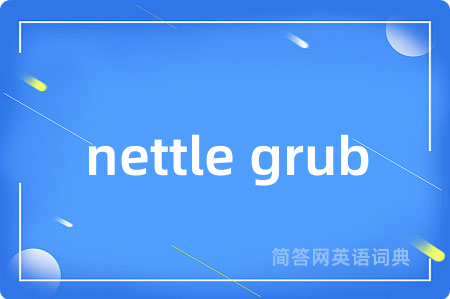 nettle grub