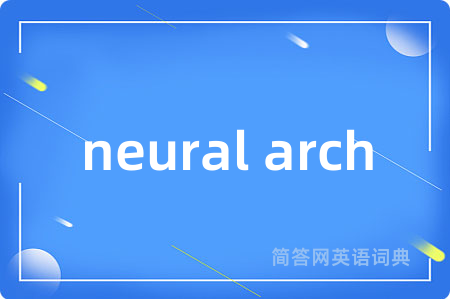 neural arch
