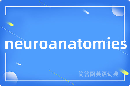 neuroanatomies