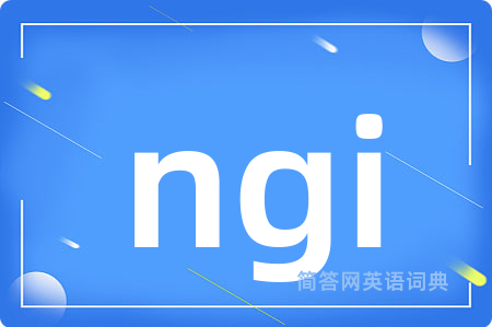 ngi是什么意思,ngi的中文翻译 ngi