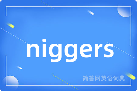 niggers是什么意思,niggers的中文翻译 niggers