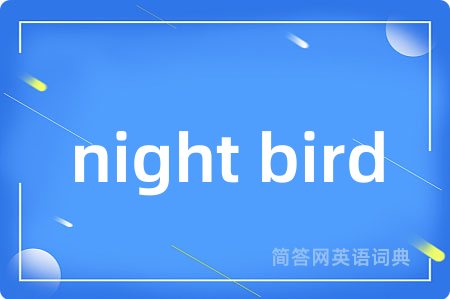 night bird是什么意思,night bird的中文翻译 night bird