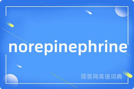 norepinephrine是什么意思,norepinephrine的中文翻译 norepinephrine
