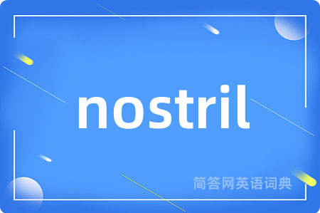 nostril