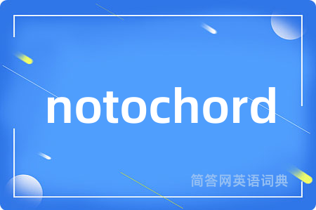 notochord