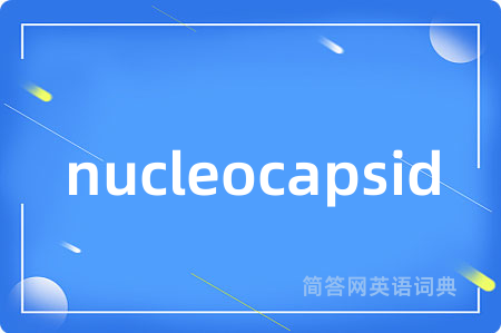 nucleocapsid