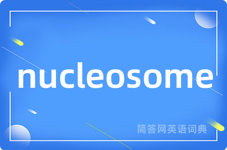 nucleosome是什么意思,nucleosome的中文翻译 nucleosome