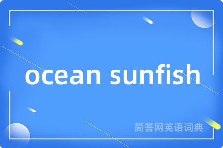 ocean sunfish