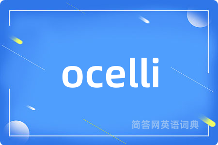 ocelli