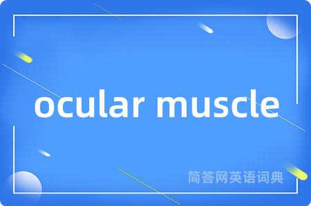 ocular muscle