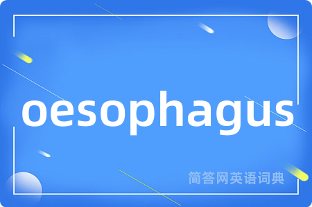 oesophagus