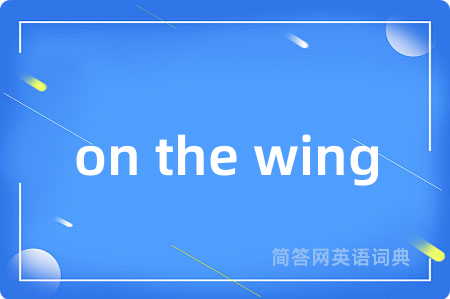 on the wing