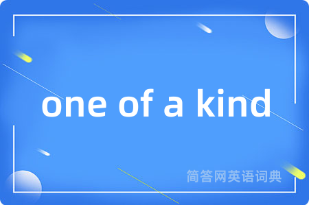 one of a kind是什么意思,one of a kind的中文翻译 one of a kind