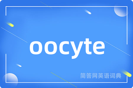 oocyte