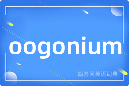oogonium