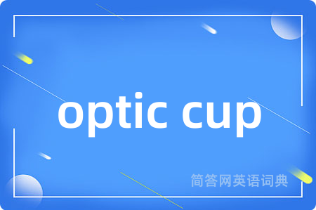 optic cup