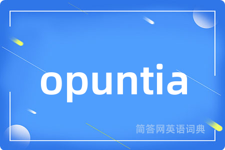 opuntia
