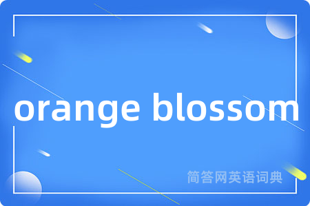 orange blossom是什么意思,orange blossom的中文翻译 orange blossom
