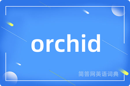 orchid