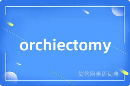 orchiectomy