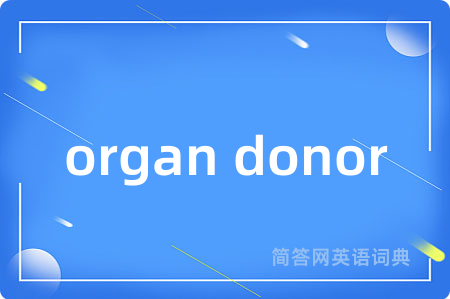 organ donor是什么意思,organ donor的中文翻译 organ donor