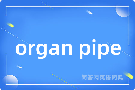 organ pipe