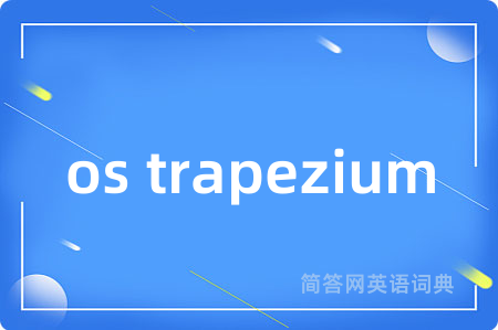 os trapezium