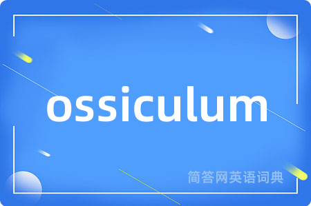 ossiculum