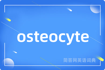 osteocyte是什么意思,osteocyte的中文翻译 osteocyte
