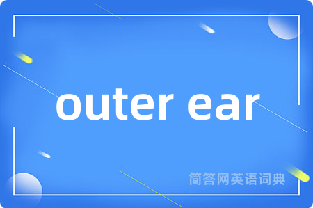 outer ear