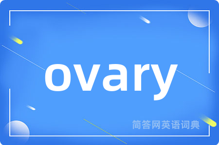 ovary