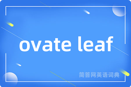 ovate leaf