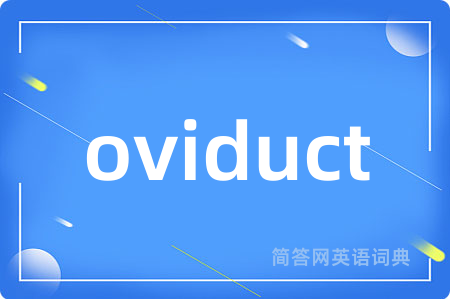 oviduct是什么意思,oviduct的中文翻译 oviduct