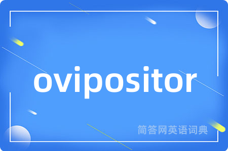 ovipositor