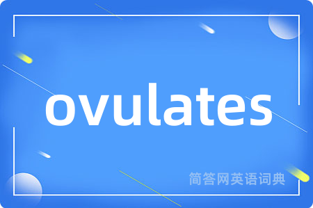 ovulates